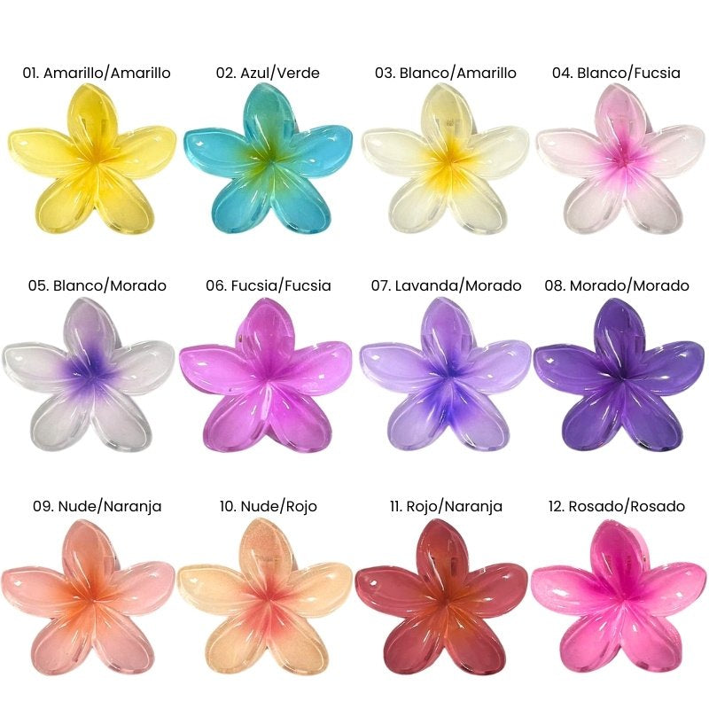 Caiman Flor Colores Surtidos Engol HWI-362