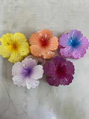 Caiman Flores Colores Surtidos Engol HWI-832