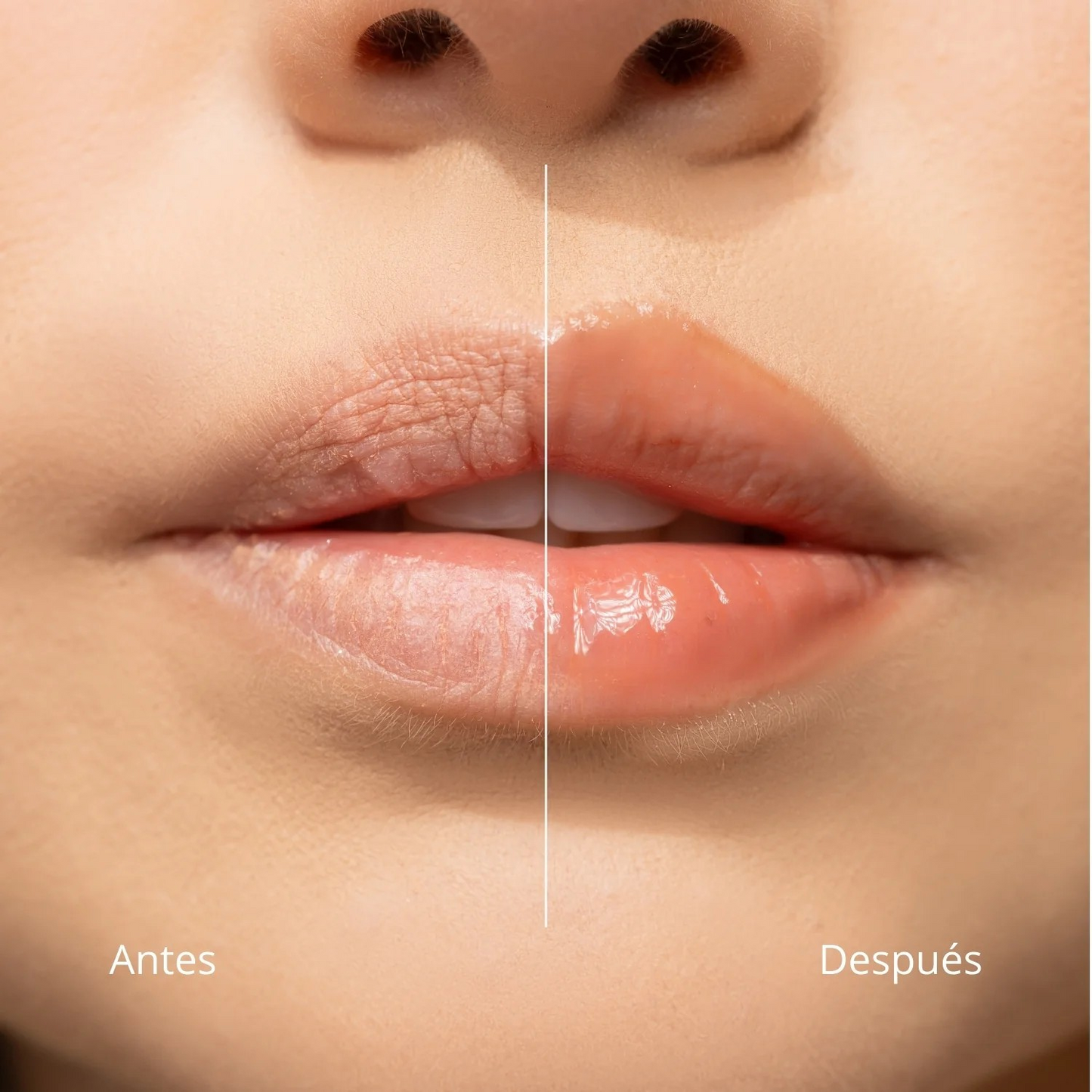 Hidratante de Labios Lip Balm Larga Duracion Anik - T01 Sugar Kiss