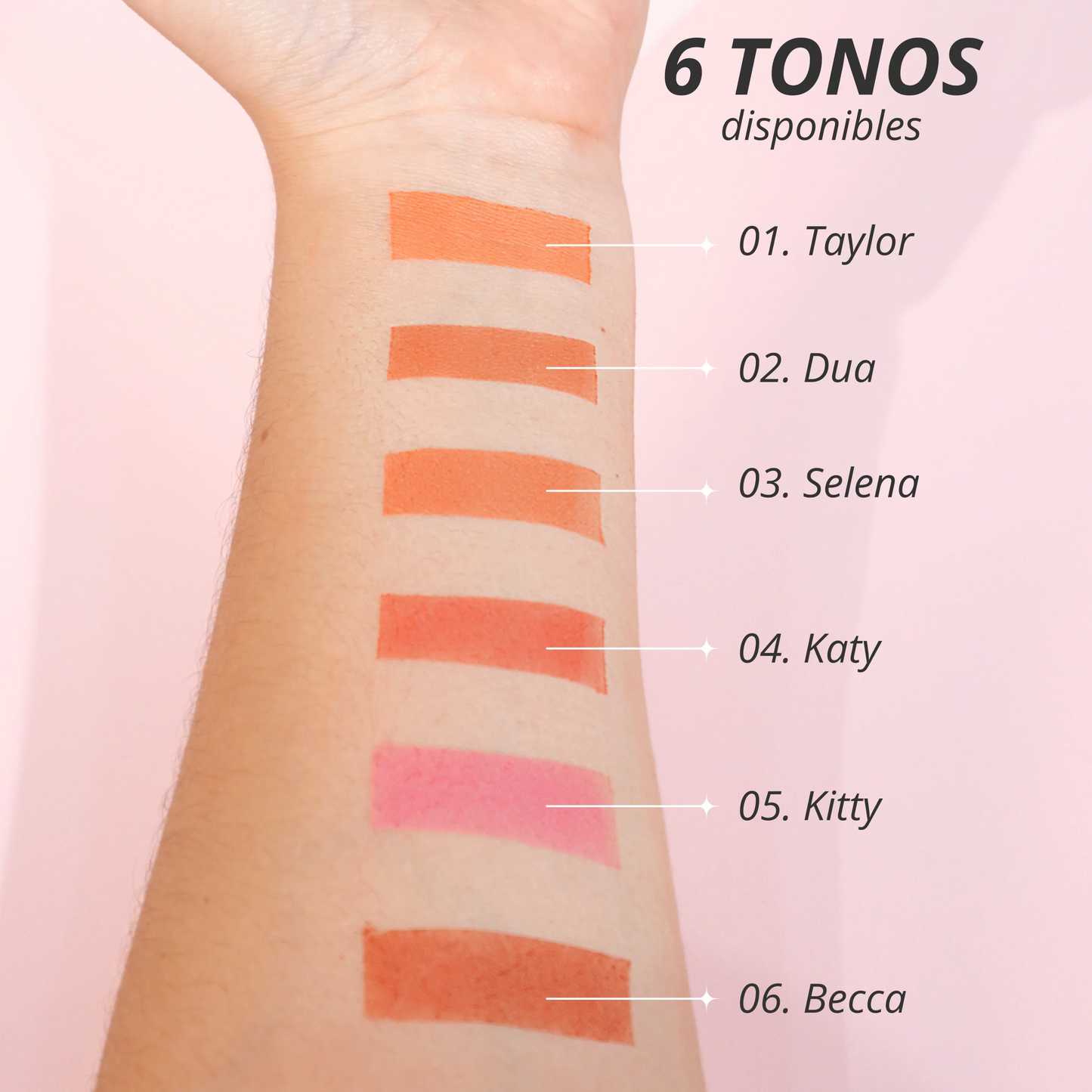 Rubor en Polvo Individual Bonita AniK CA1485 -03 Selena